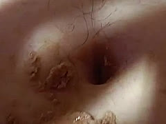 Stockylove, a 100lbs feeder From France