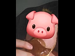 Happyfeeder, a 170lbs feeder From Canada
