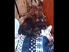 Igor Olman, a 175lbs fat appreciator From United Kingdom